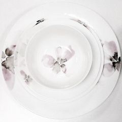 24839141_310087416158138_775423652001742848_n