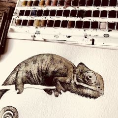 25025424_1962511200664331_2515501764753489920_n