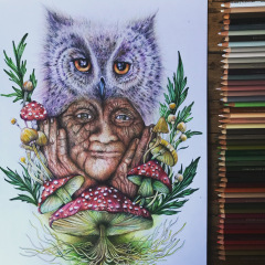 4DAA1EF2-0525-4C76-980A-4E541E65594C