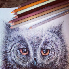 C1C9B6C7-7792-4E97-80F7-5724B0DE303E